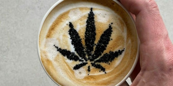 Coffee – Royal King Seeds