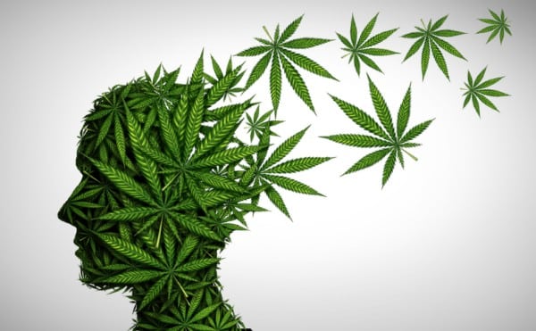 Depression – Royal King Seeds