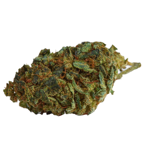 Cream Caramel Cannabis Seeds Royal King Seeds Feminized