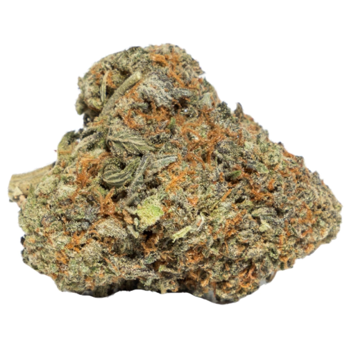 Chocolate Thai Cannabis Seeds Royal King Seeds Feminized