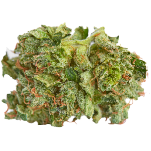 Grapefruit Diesel Cannabis Seeds Royal King Seeds Feminized