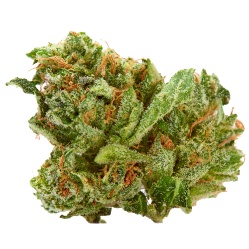 Pineapple Kush Cannabis Seeds Royal King Seeds Feminized