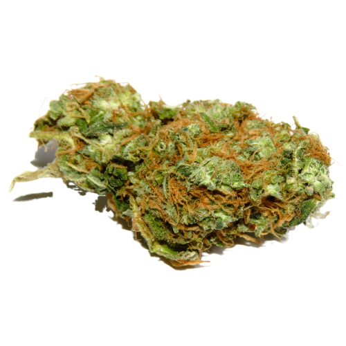 Jet Fuel Cannabis Seeds Royal King Seeds Feminized & Autoflowering