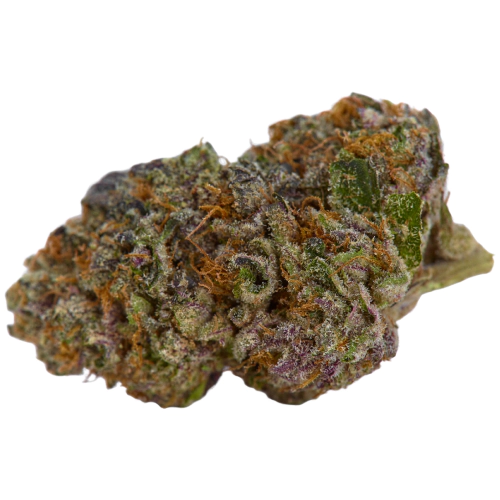 Purple Gorilla Cannabis Seeds Royal King Seeds Feminized