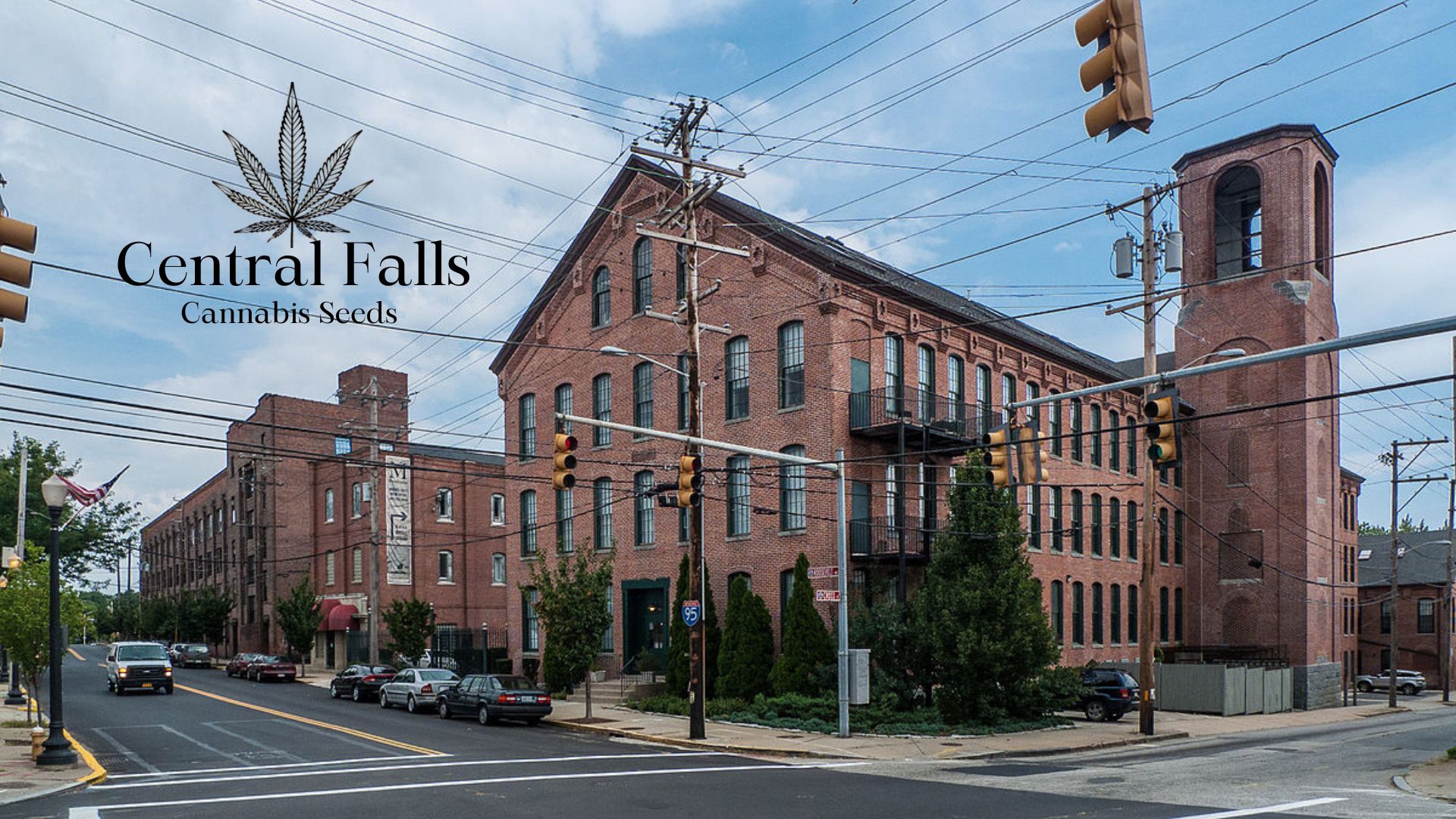 Buy Cannabis Seeds in Central Falls, Rhode Island Royal King Seeds