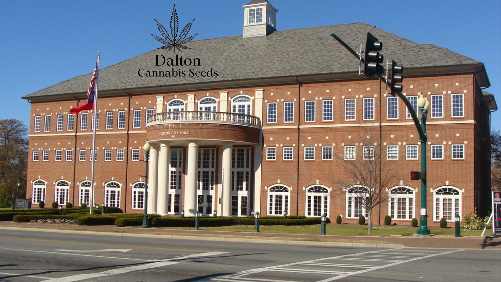 Buy Cannabis Seeds in Dalton, Royal King Seeds Feminized & Autoflowering Cannabis Seeds