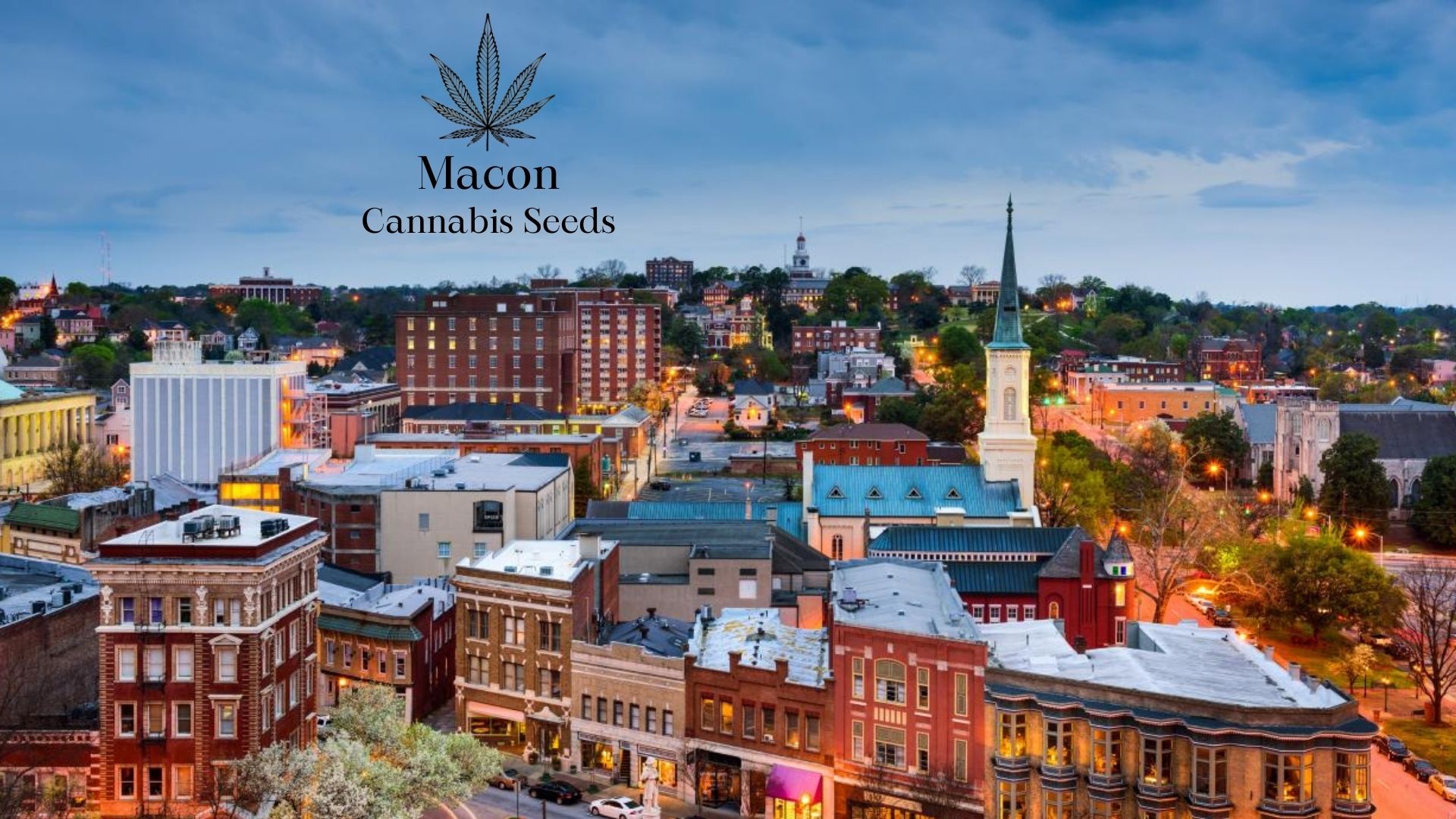 Buy Cannabis Seeds in Macon, Royal King Seeds Feminized & Autoflowering Cannabis Seeds