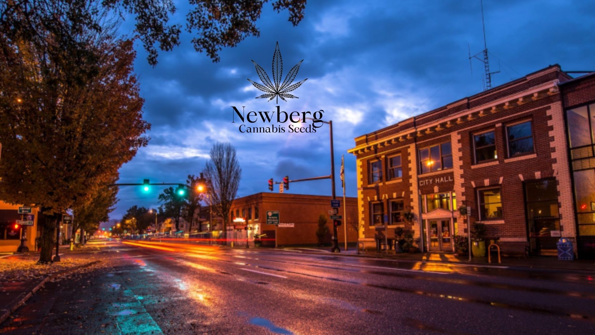 Buy Cannabis Seeds in Newberg, Oregon Royal King Seeds Feminized