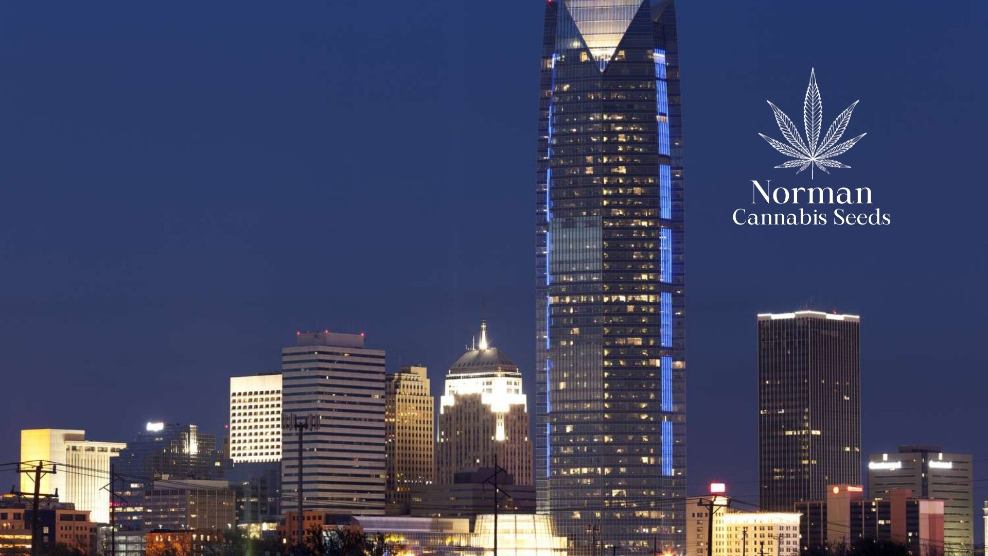 Buy Cannabis Seeds in Norman, Oklahoma Royal King Seeds Feminized