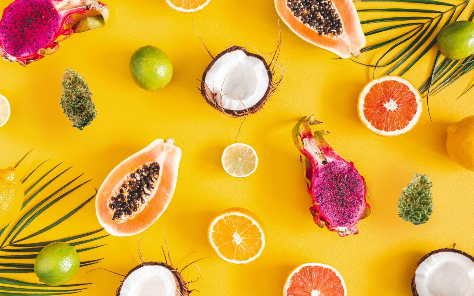 Top 7 FruitInspired Cannabis Strains Royal King Seeds Feminized