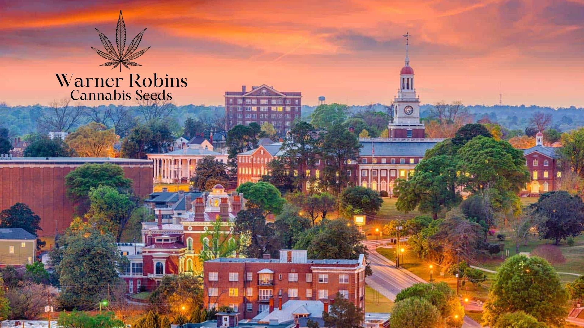 Buy Cannabis Seeds in Warner Robins, Royal King Seeds