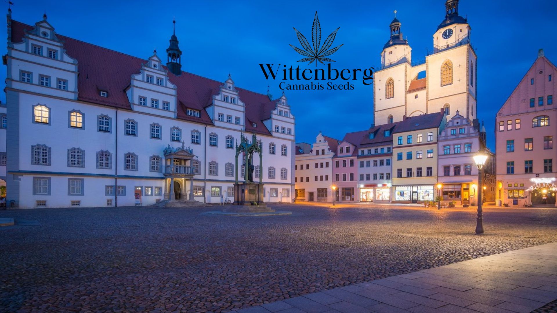 Buy Cannabis Seeds in Wittenberg, SaxonyAnhalt Royal King Seeds