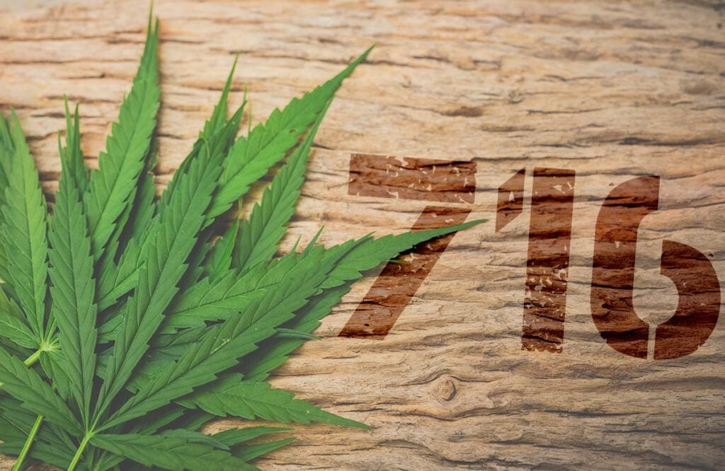 buy cannabis seeds in buffalo