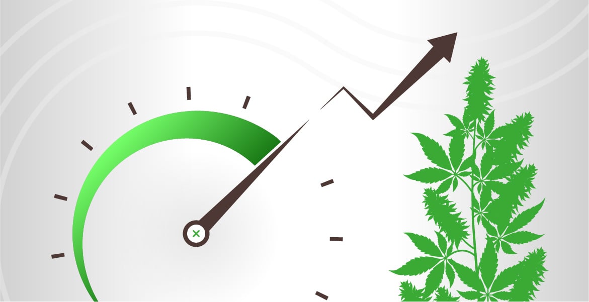 2022 blogbanners growing faster 1