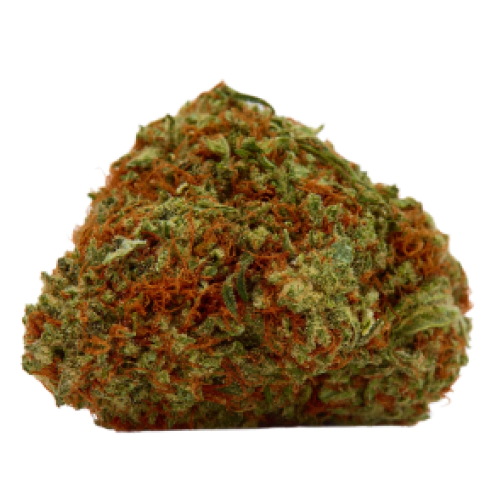 Lowryder Cannabis Seeds - Image 2