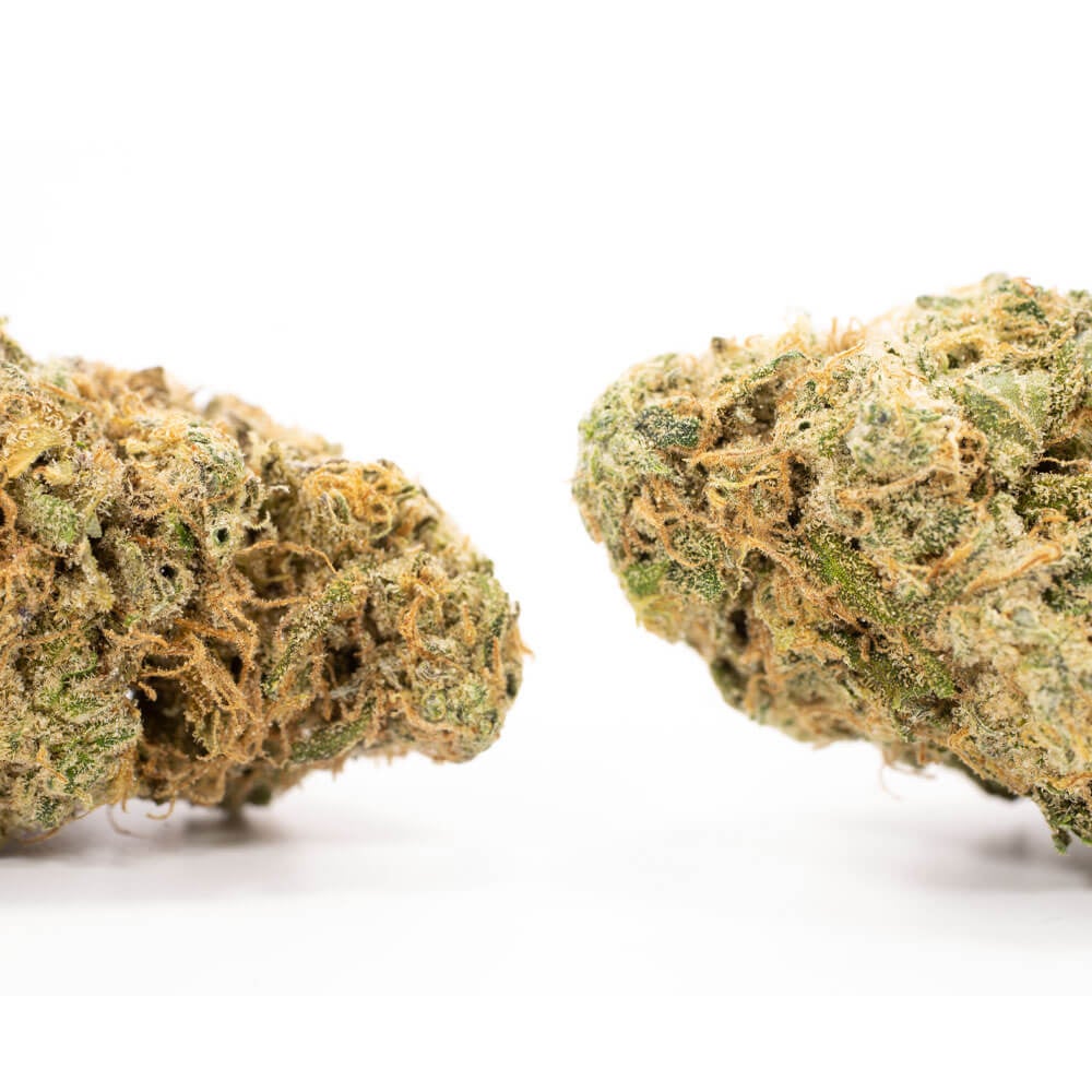 Blueberry Yum Yum Strain Cannabis Seeds Royal King Seeds Feminized & Autoflowering Cannabis