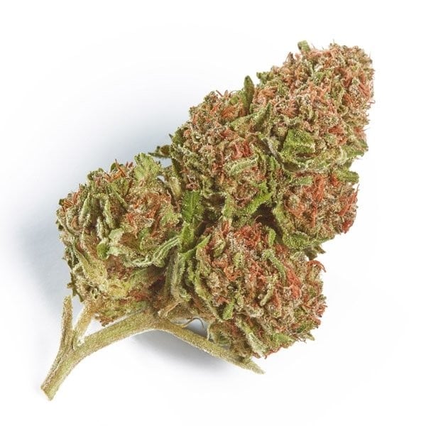 northern lights