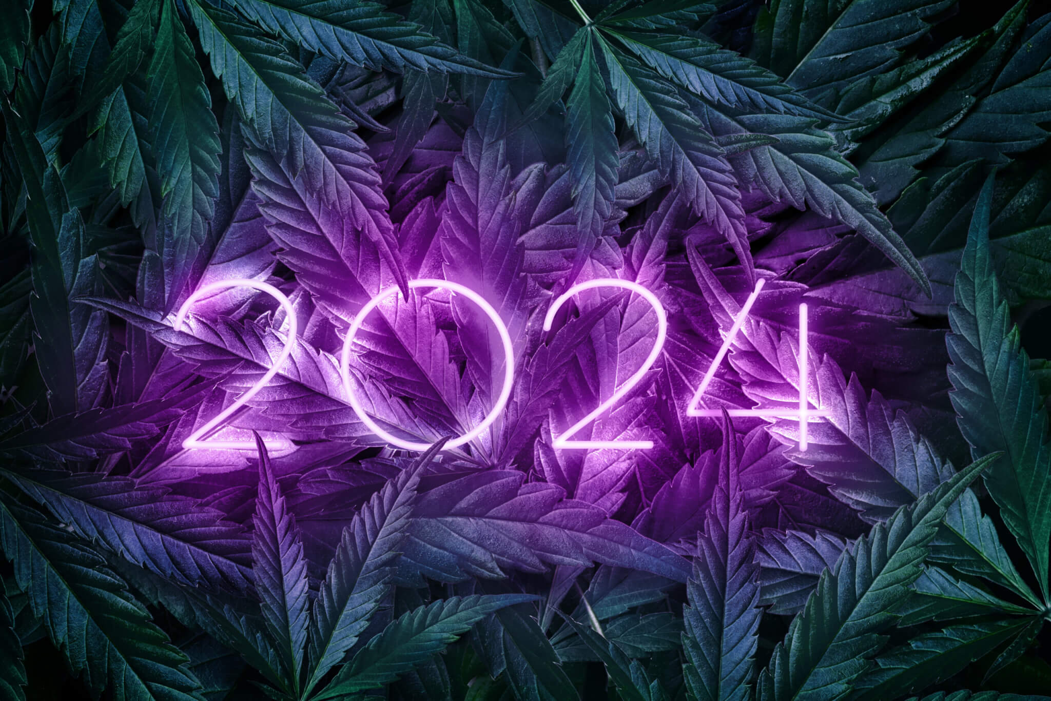 2024 Cannabis Sign scaled 1
