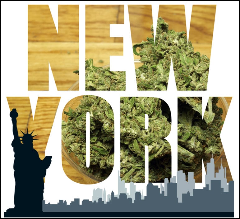 3743 WPiv newyorkflowerformmj