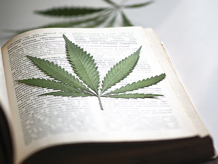 Historical Context of Medical Cannabis Before the Mid-20th Century