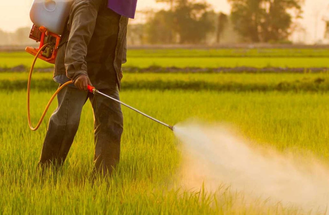 Banned and deadly pesticides still in use min