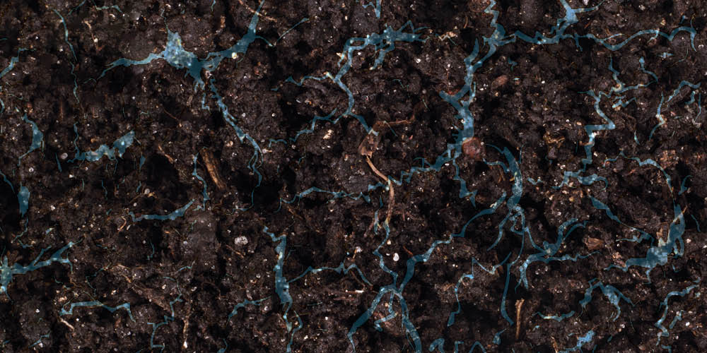 Best Soil For Cannabis mobile EN2