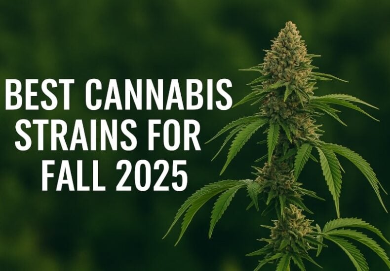 Best Strains for Fall 2025