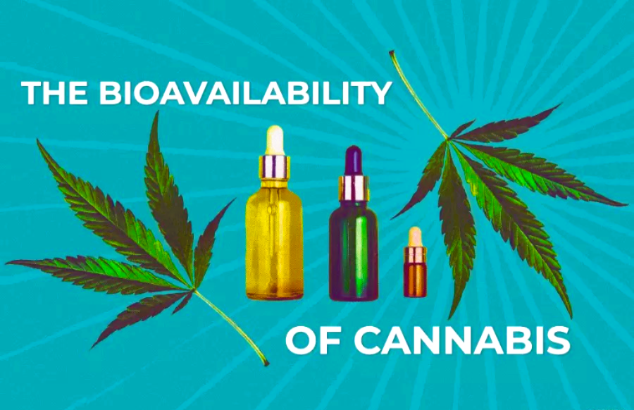 Bioavailability and Absorption of Flavonoids in Cannabis