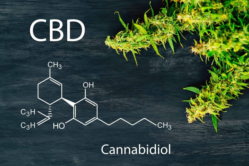 CBD The Non Psychoactive Powerhouse
