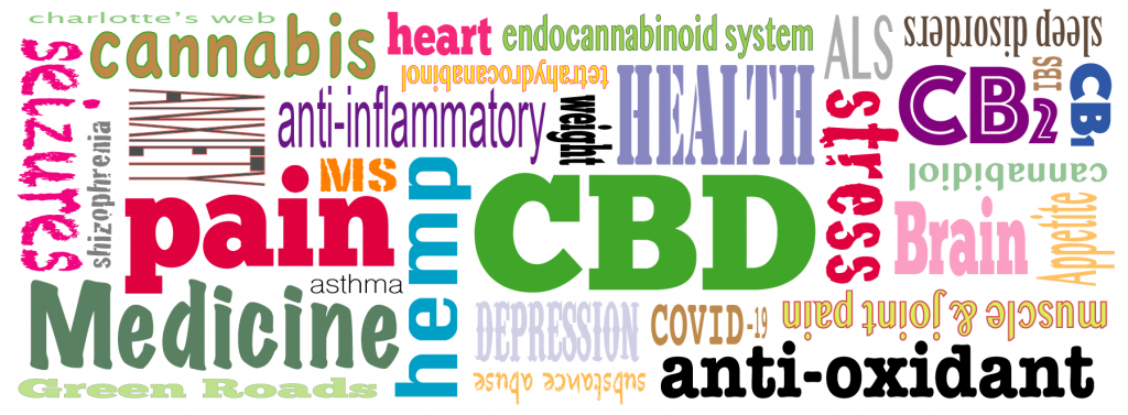 CBD Word Cloud e1595947238927 1024x377 1