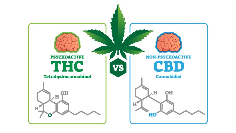 CBD vs THC Structure