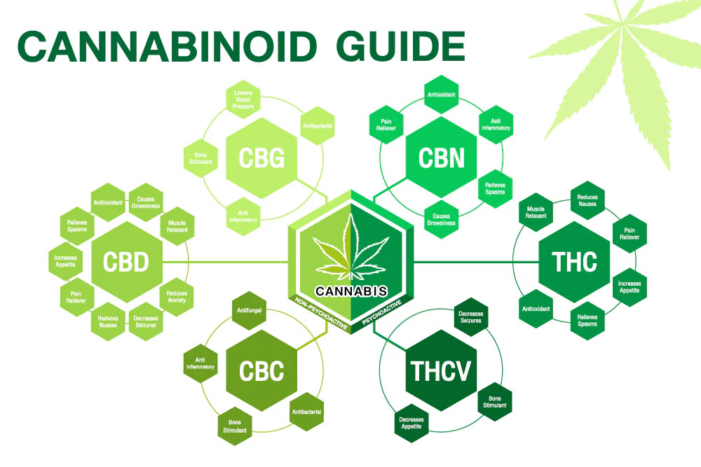 Cannabinoid Guide 1