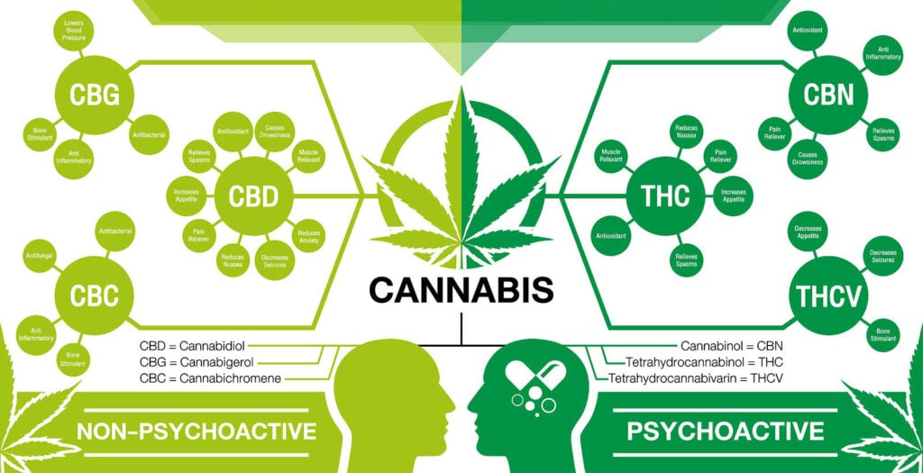 Cannabinoids medical cannabis