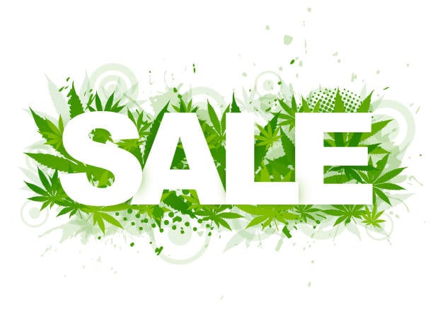 Cannabis seeds on sale