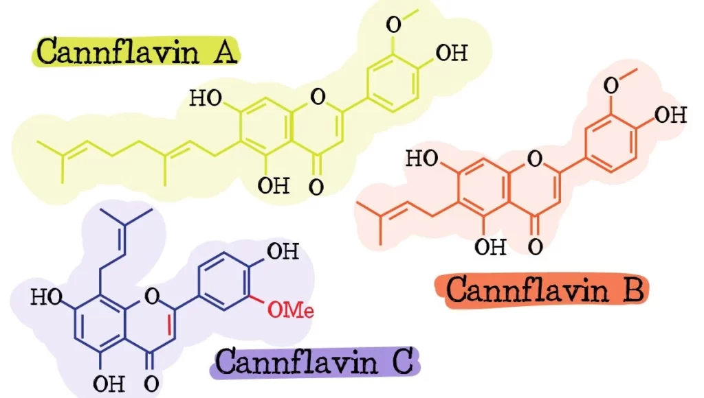 Cannflavins Cannabis Specific Anti Inflammatory Compounds