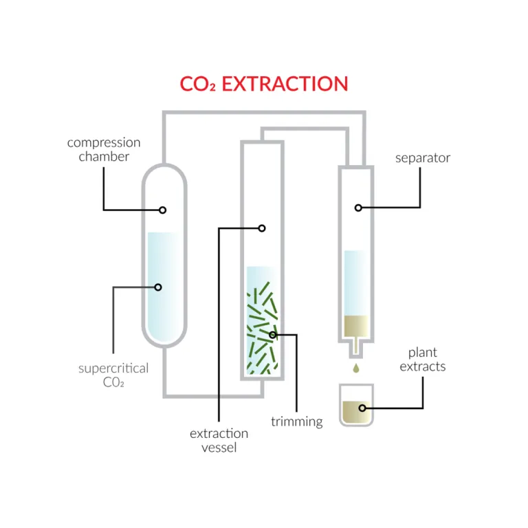 Carbon Dioxide CO2 Cannabis