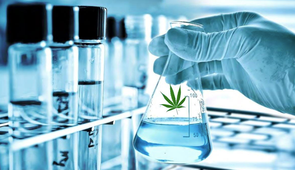 Chemical Profile of Pure CBD