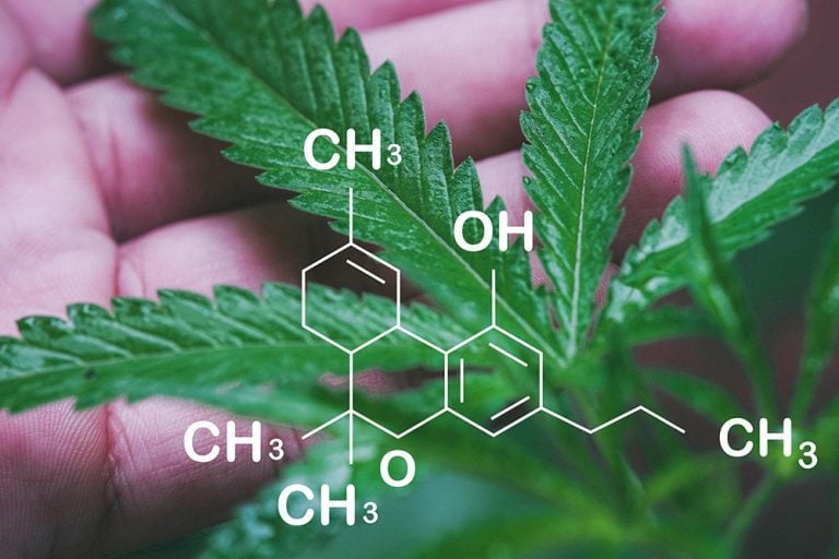 Chemical Profile of Royal Blue CBD