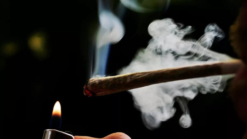 Diverse Cannabis Usage Patterns Across Age Groups in Hastings