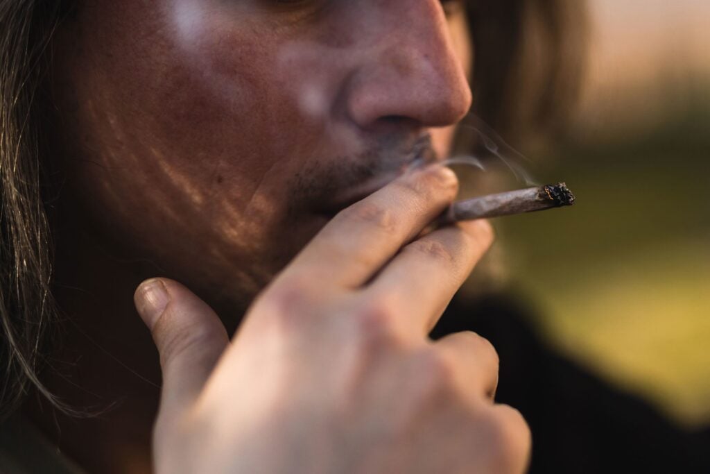 Diverse Cannabis Usage Patterns Across Age Groups in Sandy