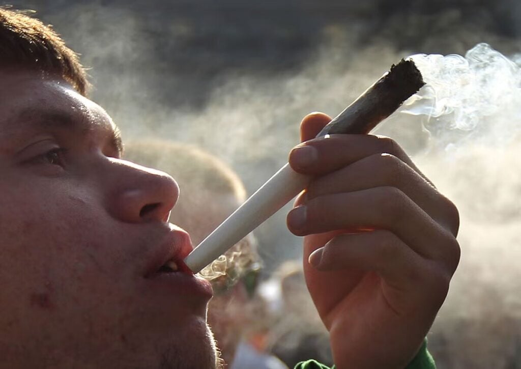 Diverse Cannabis Usage Patterns Across Age Groups in Shelton