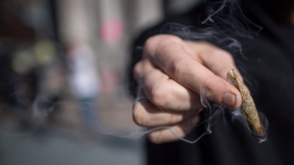 Diverse Cannabis Usage Patterns Across Age Groups in St. George