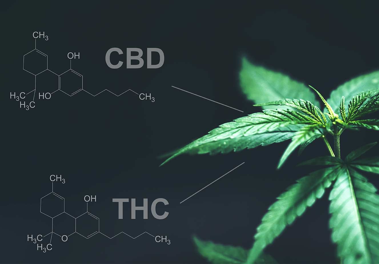 Does CBD Offset THC1