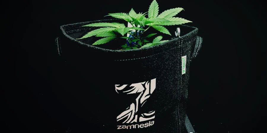 Fabric Pots AKA Smart Pots