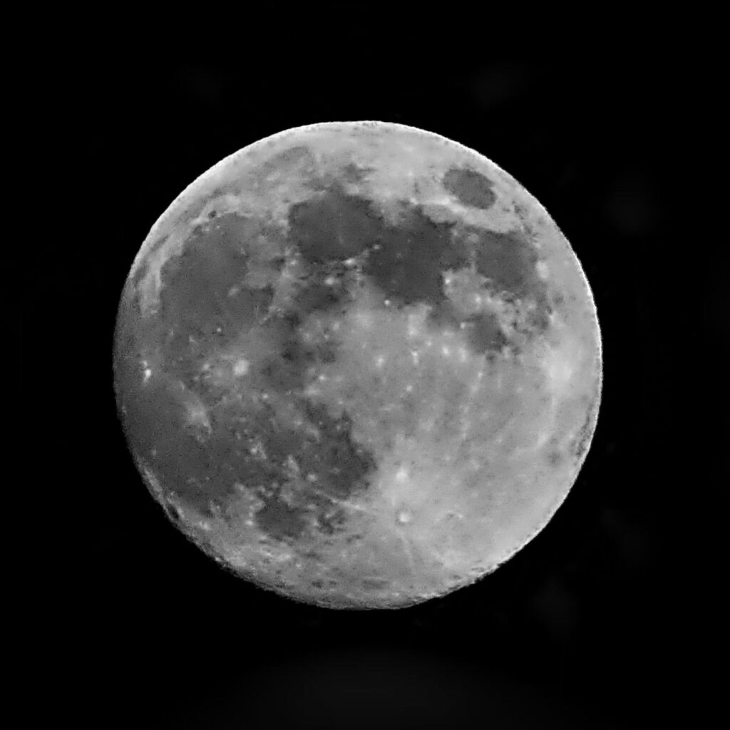 Full Moon Maximizing Nutrient Uptake