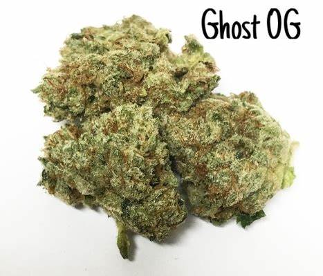 GHOST
