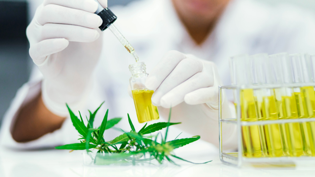 Health Benefits of Cannabis in Detroit