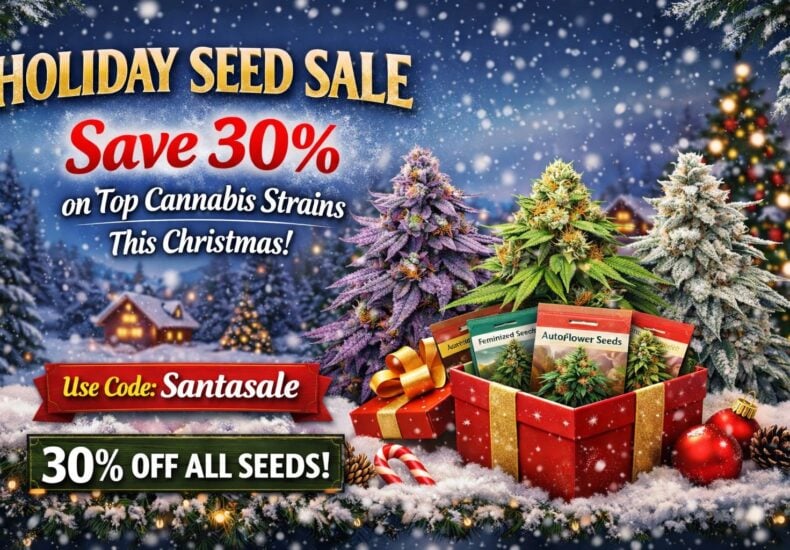 Holiday Seed Sale