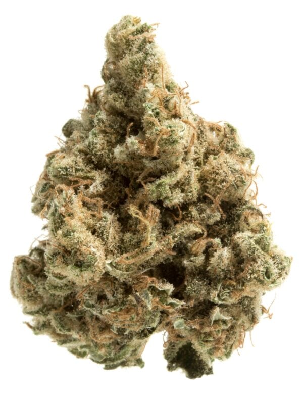 a close up of a cannabis bud