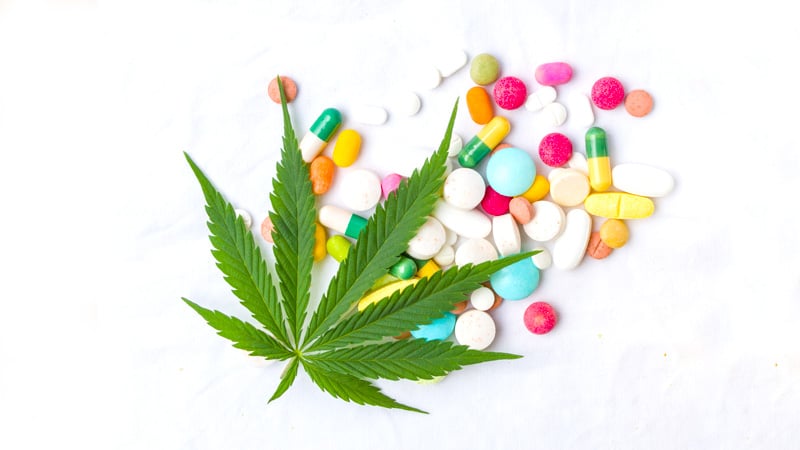 Medical Applications of Cannabis Flavonoids Mechanistic Insights and Clinical Potential